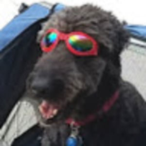 Meet your Posher, Larry